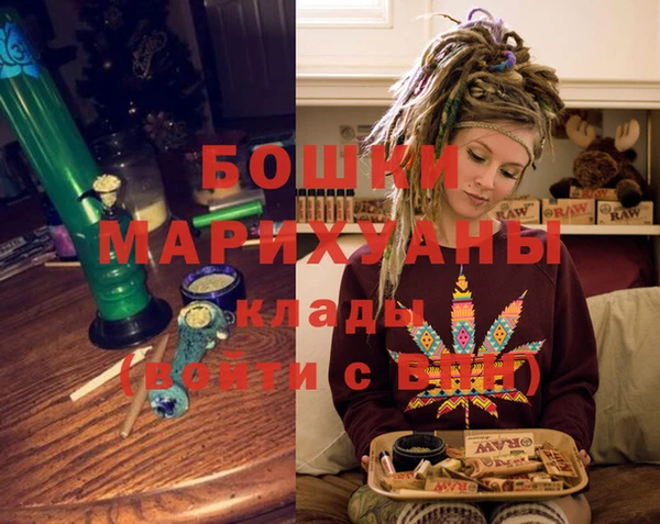 дурь Сатка